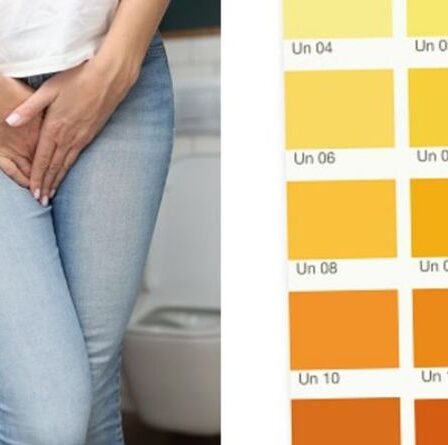 Nuancier pipi : Les 5 signes que VOTRE pipi est malsain
