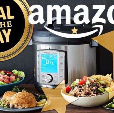 OFFRE DU JOUR: Économisez 30 £ sur l'Instant Pot Duo Evo Plus - maintenant à moins de 100 £