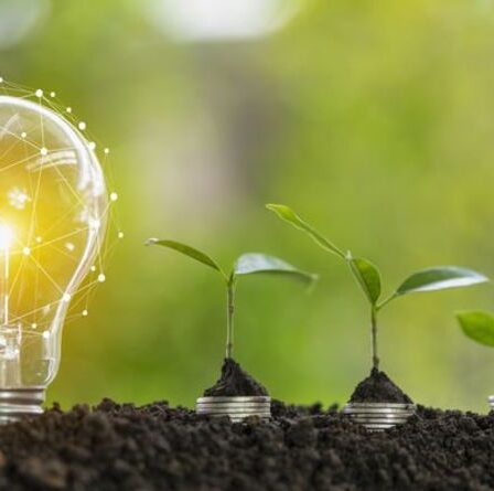 Obligations d'épargne NS&I : des façons vertes d'investir votre argent