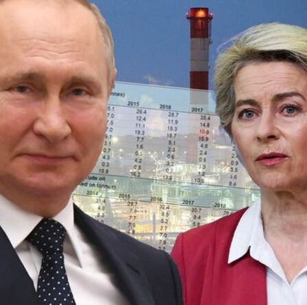 Où l'Europe tire son gaz de REVEALED: un graphique sinistre montre que Poutine détient toutes les cartes