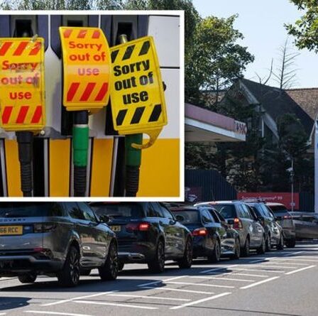 Pénurie d'essence Royaume-Uni : Y a-t-il un problème avec le diesel ?