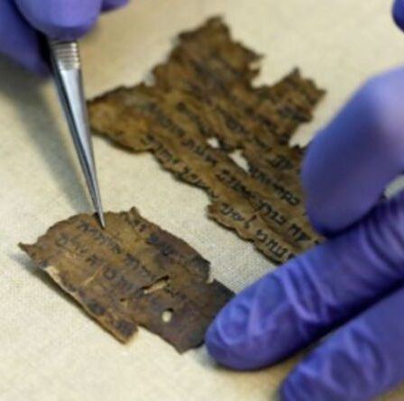 Percée en Égypte alors qu'un document en hébreu révèle les secrets des manuscrits de la mer Morte