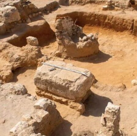Percée en Egypte : les vestiges d'une ville gréco-romaine découverts à Alexandrie
