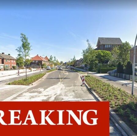 Poignardage d'Almelo: deux morts dans une "attaque à l'arbalète" alors que la police néerlandaise "tire le feu" sur un suspect