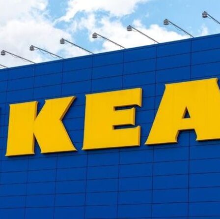 Pourquoi Ikea a-t-il du mal à stocker des étagères ?  Pénuries dans 1 000 lignes de produits