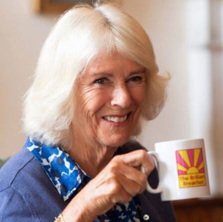 Pourquoi la duchesse de Cornouailles n'est peut-être PAS la reine consort quand Charles est roi