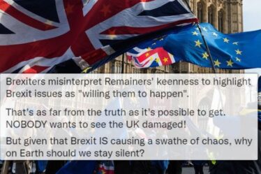 « Pourquoi rester silencieux ? »  Le reste de la rage qu'il fait "devoir patriotique" alors que le Brexit "coule" le Royaume-Uni