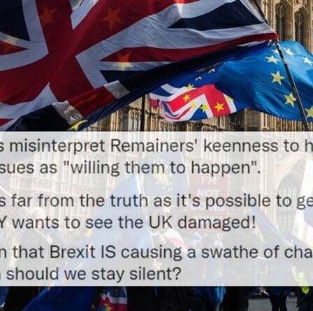 « Pourquoi rester silencieux ? » Le reste de la rage qu'il fait "devoir patriotique" alors que le Brexit "coule" le Royaume-Uni