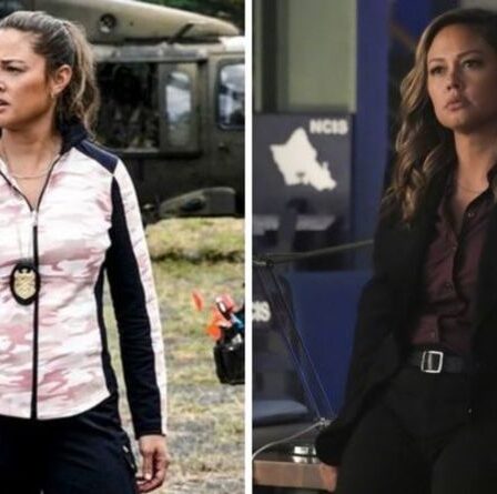 Première du NCIS à Hawaii: les fans font l'éloge du premier "incroyable" de Vanessa Lachey, "Mon émission préférée"