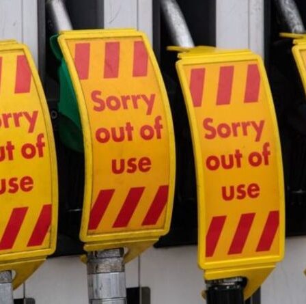 Quand la crise des carburants prendra-t-elle fin ? Le patron du pétrole espère que le chaos "terminé d'ici la fin de la semaine"