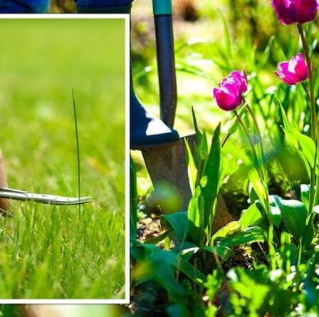 Quand l'herbe cesse-t-elle de pousser ? Les trois principaux facteurs affectant VOTRE pelouse