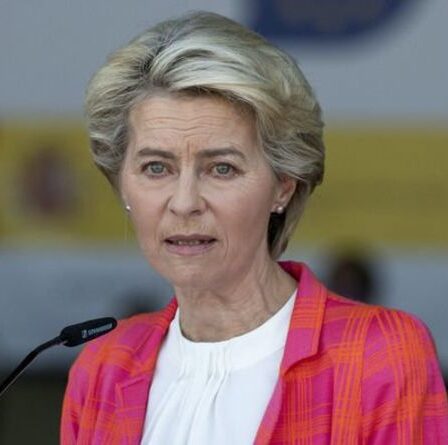 Quatre problèmes clés auxquels l'UE est confrontée alors que le bloc brave les fractures internes