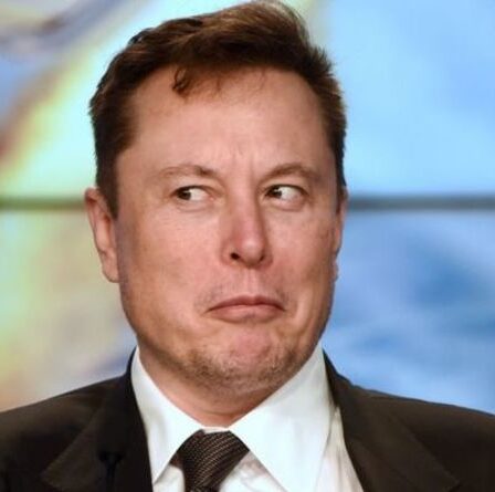 Quelle est l'influence d'Elon Musk sur le marché de la cryptographie ?