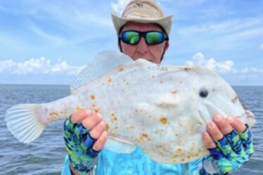 'Qu'est ce que c'est que ce truc?'  Un pêcheur de Floride déconcerté après avoir attrapé un étrange «poisson tortilla»