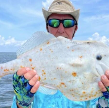 'Qu'est ce que c'est que ce truc?'  Un pêcheur de Floride déconcerté après avoir attrapé un étrange «poisson tortilla»