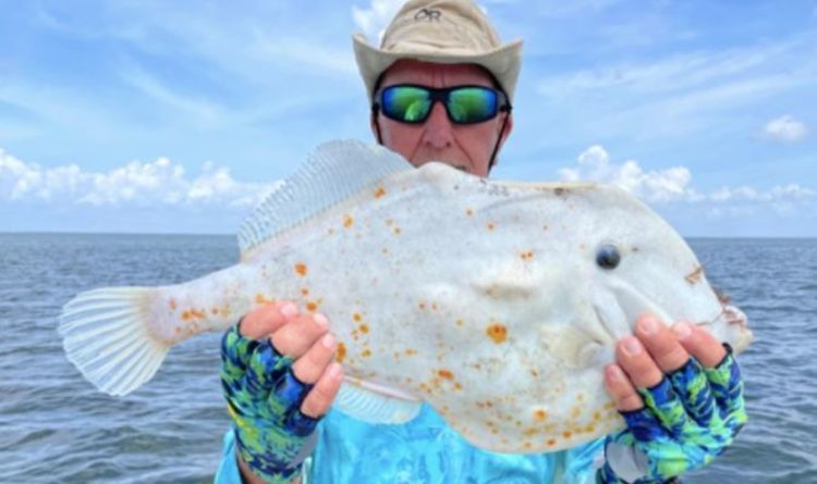 'Qu'est ce que c'est que ce truc?'  Un pêcheur de Floride déconcerté après avoir attrapé un étrange «poisson tortilla»