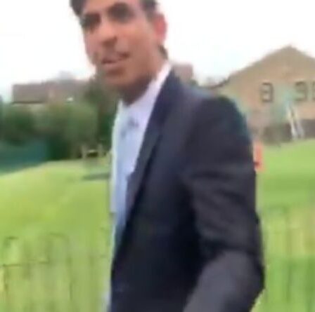 REGARDER: Rishi Sunak confronté à un militant du climat en colère qui poursuit le ministre à travers le parc