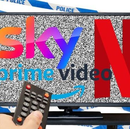 Regarder Sky, Netflix et Prime Video gratuitement vient de débarquer des centaines de personnes avec une amende massive