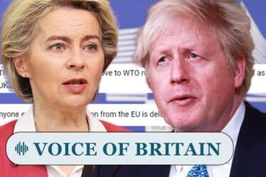 Rien à craindre!  Les Britanniques exhortent Boris à respecter les règles de l'OMC et à "appeler le bluff de l'UE"