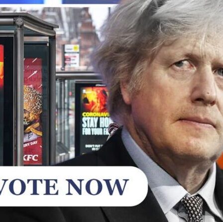 SONDAGE sur le verrouillage : le « pare-feu » de l'automne sera-t-il un rideau pour le temps de Boris Johnson en tant que Premier ministre ?  VOTER