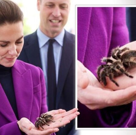 Sans peur!  Daring Kate dans une rencontre terrifiante avec une tarentule lors d'une visite royale