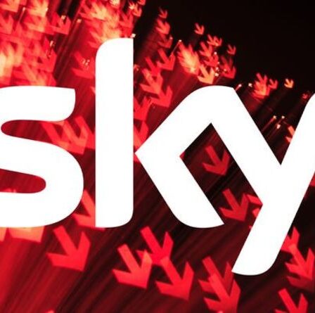 Sky Broadband TOUJOURS en panne: des milliers de personnes incapables de se connecter à Internet pendant des HEURES