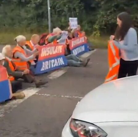 « Sortez de ce putain de chemin ! »  Les conducteurs furieux deviennent violents alors que les manifestants pour le climat bloquent le M25