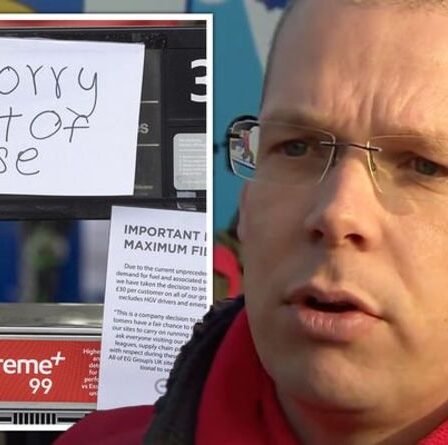 « S**t vous avez créé pour vous-mêmes ! »  Le patron du camionnage néerlandais ne promet aucune aide au Royaume-Uni dans le cadre du Brexit