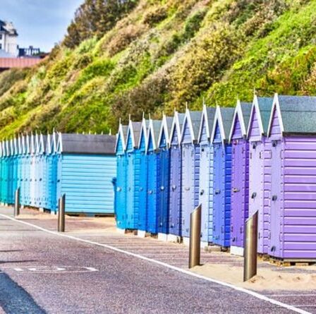 Staycation : la capitale du fish and chips du Royaume-Uni a été nommée - c'est l'heure des vacances à la mer
