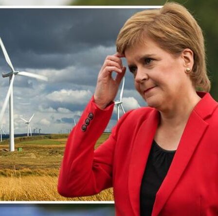 Sturgeon peut TOUJOURS compter sur le Royaume-Uni après l'indépendance car le plan énergétique «manque» de l'engagement