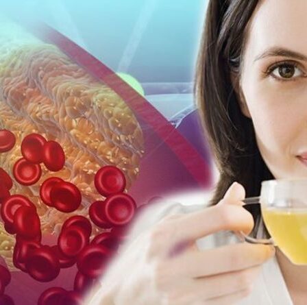 Taux de cholestérol élevé : une boisson pourrait aider à réduire le taux de cholestérol jusqu'à 30 %