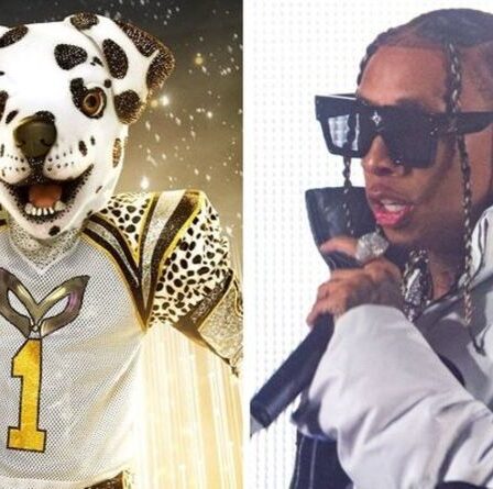 The Masked Singer : les fans stupéfaits du rappeur superstar démasqué en Dalmatien