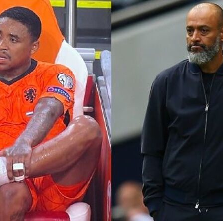 Tottenham subit un quadruple coup de blessure et 7 étoiles pourraient être portées disparues après une pause cauchemardesque