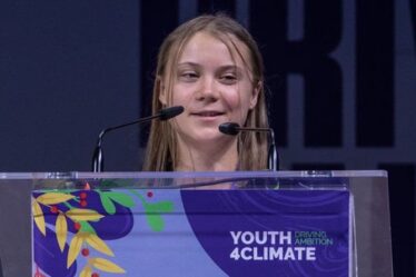 Tout bla, bla, bla... Greta Thunberg se moque des dirigeants "sans action"