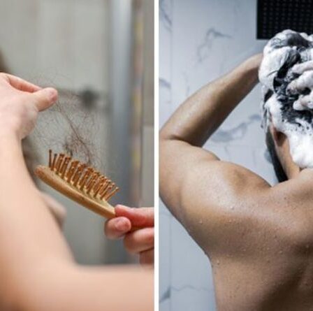Traitement de la chute des cheveux : Les 11 ingrédients communs mais nocifs du shampooing à ÉVITER