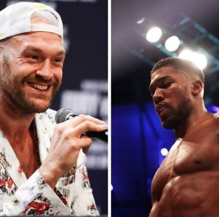 Tyson Fury se moque d'Anthony Joshua avec un message de huit mots après la défaite du titre des poids lourds