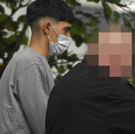 Un adolescent devant le tribunal pour le meurtre d'un ex-soldat de 86 ans