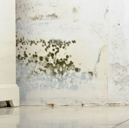 Un architecte «remordant» qui a raté 230 000 £ de pourriture dans la maison d'un couple a été condamné à une amende de 2 500 £