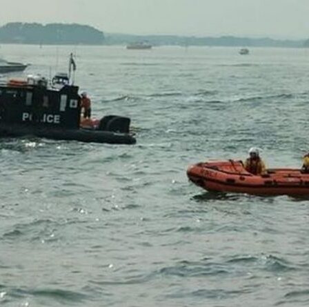 Un avion s'écrase en mer au Bournemouth Air Festival avec un « marcheur d'aile » blessé
