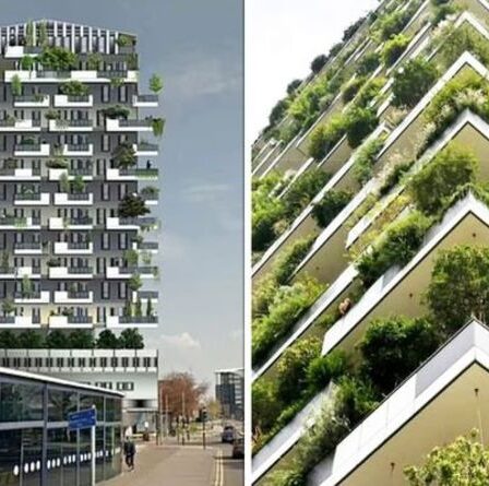 Un bâtiment géant de «forêt» dans les West Midlands suscite la fureur des habitants – «complètement ridicule»