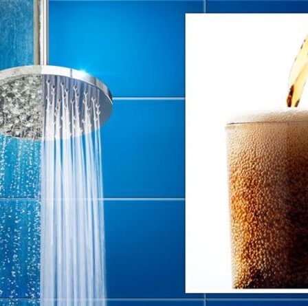 Un expert en nettoyage partage une méthode « facile » 39p pour éliminer le calcaire de votre pommeau de douche