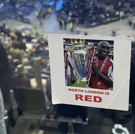 Un fan d'Arsenal trolls Tottenham avec l'affiche de Sol Campbell à Anthony Joshua contre Oleksandr Usyk