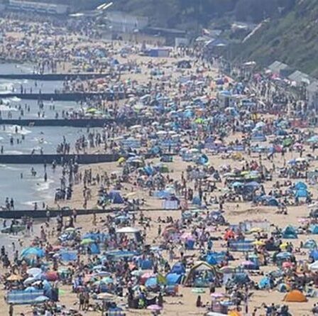 Un garçon de 17 ans arrêté pour le viol d'une fille de 15 ans dans la mer près d'une plage animée