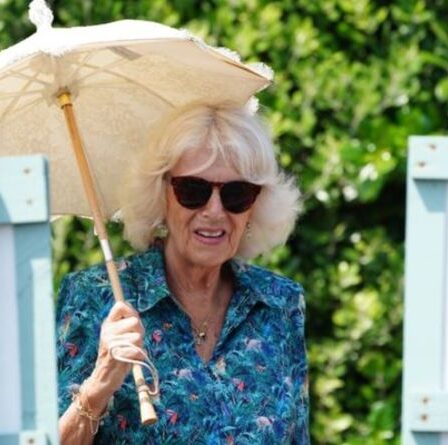 "Un grand atout pour la famille" Camilla saluée par les fans royaux après un appel sincère