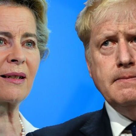 « Un grand bordel ! »  Le reste considère que l'accord de Johnson sur le Brexit est "impraticable" sans "fin de partie"