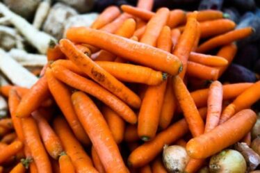 Un nutritionniste alimentaire partage la vérité derrière les mythes alimentaires - y compris les carottes vous aident à voir dans le noir
