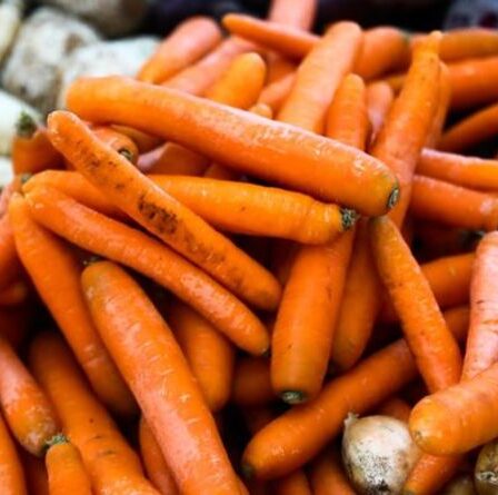 Un nutritionniste alimentaire partage la vérité derrière les mythes alimentaires - y compris les carottes vous aident à voir dans le noir