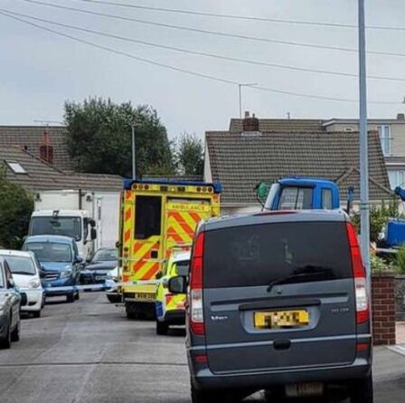 Un retraité écrasé à mort par une lourde charge tombant d'une grue travaillant dans une maison