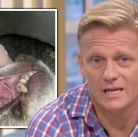 Un vétérinaire à un moment déchirant dit à la téléspectatrice de This Morning que son chien a probablement un cancer « oh mon dieu »