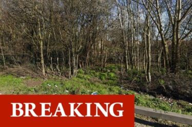 Une enquête pour meurtre lancée alors que le corps d'une femme a été retrouvé dans un parc du sud de Londres - routes fermées